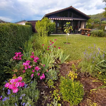 Max In Koblenz-guels Am Guelser Moselbogen * Coblence