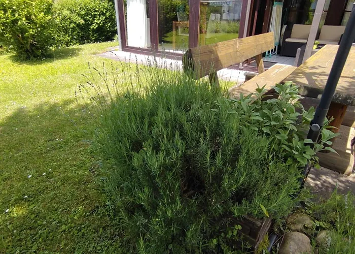 Max In Koblenz-guels Am Guelser Moselbogen