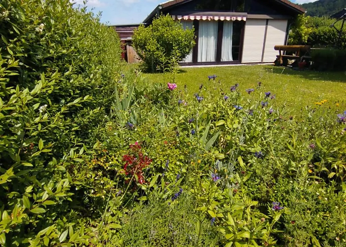 Max In Koblenz-guels Am Guelser Moselbogen Semesterbostad Koblenz (Rhineland-Palatinate)