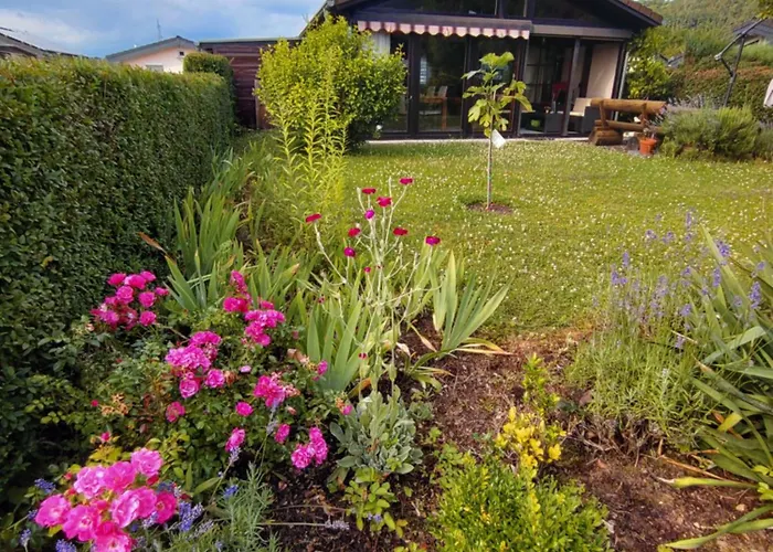 Max In Koblenz-guels Am Guelser Moselbogen * Koblenz (Rhineland-Palatinate)